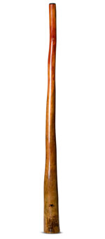 Tristan O'Meara Didgeridoo (TM317)